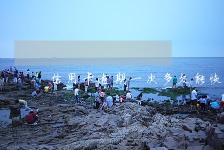 信用卡逾期一次多久能恢复额度