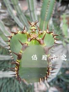 信用卡逾期一次多久能覆盖 信用卡逾期一次多久能覆盖