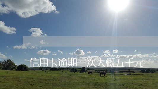 信用卡逾期一次大概五千元 信用卡逾期一次大概五千元
