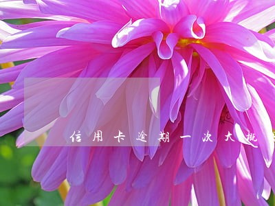 信用卡逾期一次大概四天