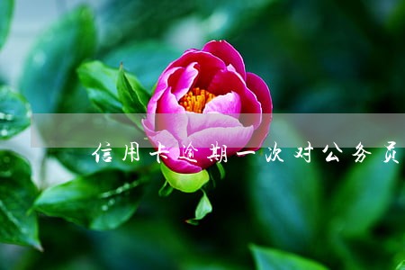 信用卡逾期一次对公务员影响 信用卡逾期一次对公务员影响