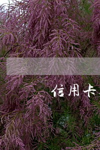信用卡逾期一次少还点可以么 信用卡逾期一次少还点可以么