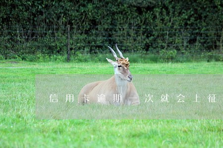 信用卡逾期一次就会上征信 信用卡逾期一次就会上征信