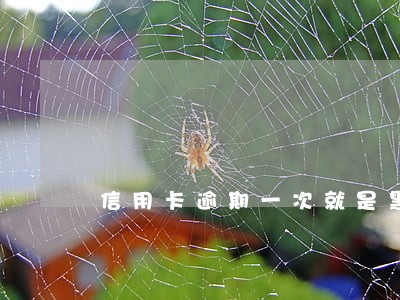 信用卡逾期一次就是黑户嘛 信用卡逾期一次就是黑户嘛