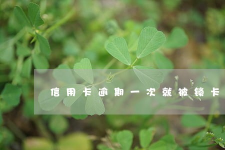 信用卡逾期一次就被锁卡了 信用卡逾期一次就被锁卡了