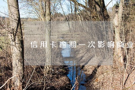 信用卡逾期一次影响商业贷款 信用卡逾期一次影响商业贷款