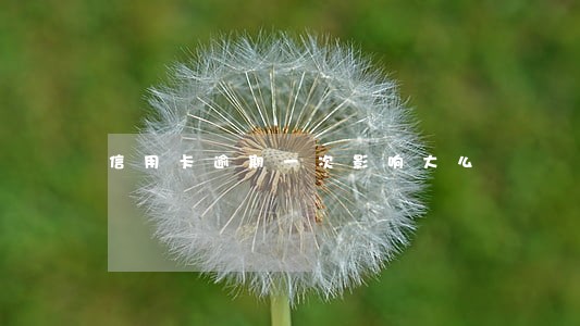 信用卡逾期一次影响大么 信用卡逾期一次影响大么