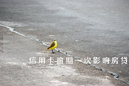 信用卡逾期一次影响房贷额度吗