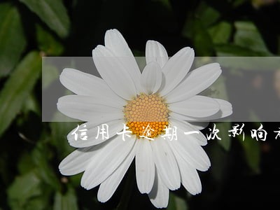 信用卡逾期一次影响考公吗 信用卡逾期一次影响考公吗