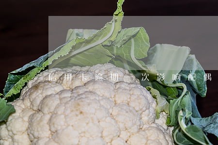 信用卡逾期一次影响配偶贷款 信用卡逾期一次影响配偶贷款