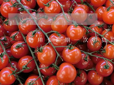 信用卡逾期一次影贷款 信用卡逾期一次影贷款