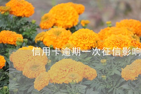 信用卡逾期一次征信影响大吗 信用卡逾期一次征信影响大吗