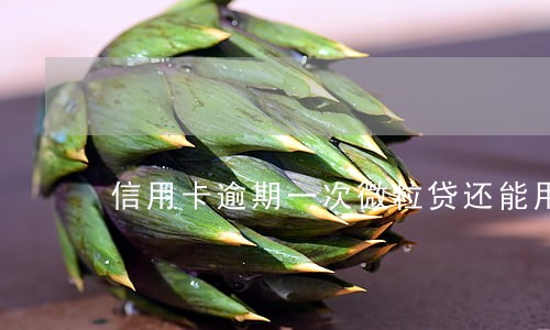 信用卡逾期一次微粒贷还能用吗 信用卡逾期一次微粒贷还能用吗