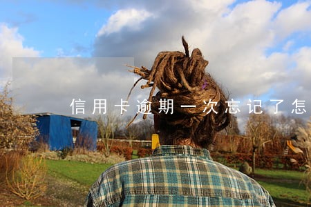 信用卡逾期一次忘记了怎么办 信用卡逾期一次忘记了怎么办