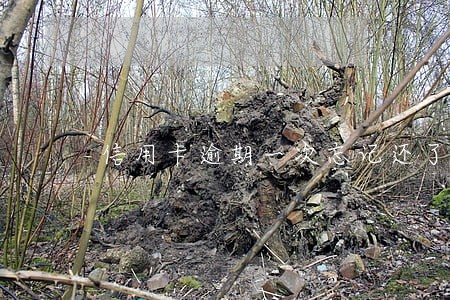 信用卡逾期一次忘记还了要紧吗 信用卡逾期一次忘记还了要紧吗