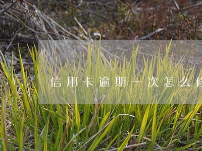 信用卡逾期一次怎么修补 信用卡逾期一次怎么修补