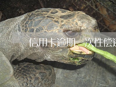 信用卡逾期一次性偿还没还