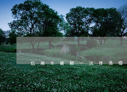信用卡逾期一次性清偿 信用卡逾期一次性清偿
