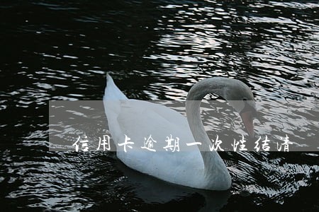 信用卡逾期一次性结清 信用卡逾期一次性结清
