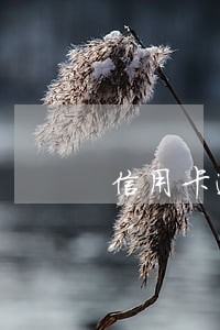信用卡逾期一次性结清怎么办 信用卡逾期一次性结清怎么办