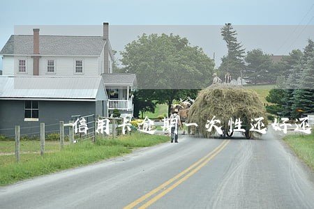 信用卡逾期一次性还好还是分期好 信用卡逾期一次性还好还是分期好