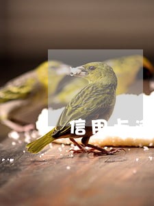信用卡逾期一次性还完本金 信用卡逾期一次性还完本金