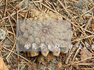 信用卡逾期一次性还款 信用卡逾期一次性还款