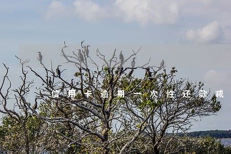 信用卡逾期一次性还款减免 信用卡逾期一次性还款减免