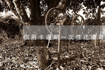 信用卡逾期一次性还清可以减免吗 信用卡逾期一次性还清可以减免吗
