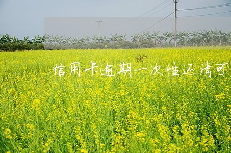 信用卡逾期一次性还清可以销卡吗 信用卡逾期一次性还清可以销卡吗