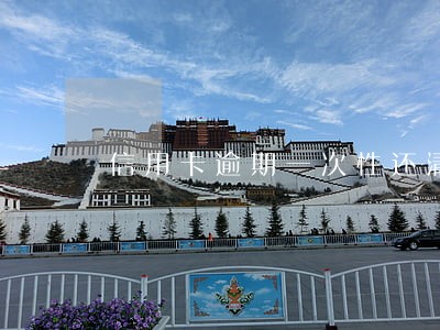 信用卡逾期一次性还清吗 信用卡逾期一次性还清吗