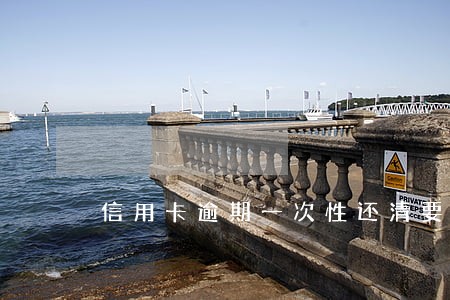 信用卡逾期一次性还清要什么手续