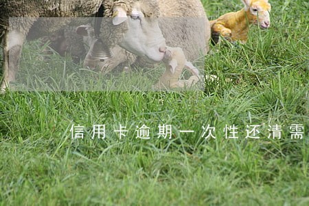 信用卡逾期一次性还清需注意什么 信用卡逾期一次性还清需注意什么
