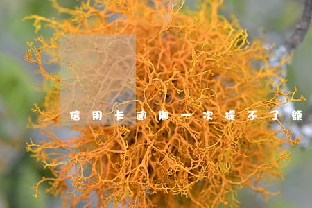信用卡逾期一次提不了额度了 信用卡逾期一次提不了额度了