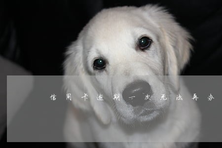 信用卡逾期一次无法再办理信用卡 信用卡逾期一次无法再办理信用卡