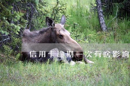 信用卡逾期一次有啥影响吗