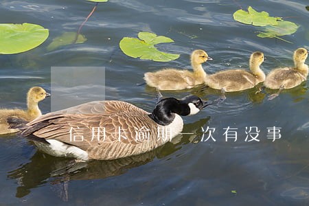 信用卡逾期一次有没事 信用卡逾期一次有没事