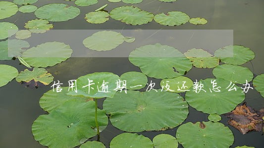 信用卡逾期一次没还款怎么办 信用卡逾期一次没还款怎么办