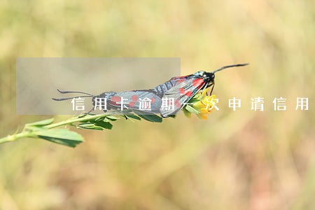 信用卡逾期一次申请信用卡秒拒 信用卡逾期一次申请信用卡秒拒