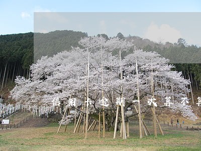 信用卡逾期一次算不算不良征信 信用卡逾期一次算不算不良征信