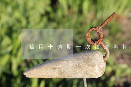 信用卡逾期一次结清再销卡 信用卡逾期一次结清再销卡