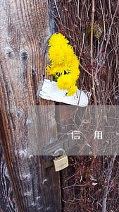 信用卡逾期一次结清减免利息