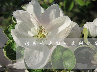 信用卡逾期一次网捷贷申请