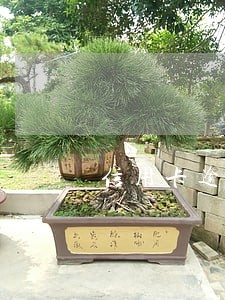 信用卡逾期一次能买高铁票吗 信用卡逾期一次能买高铁票吗