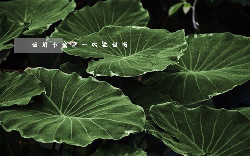 信用卡逾期一次能借吗