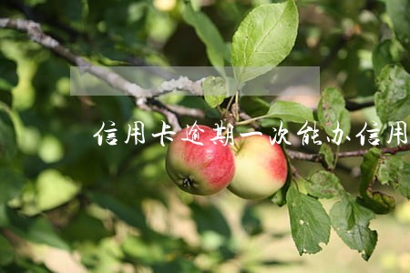 信用卡逾期一次能办信用卡 信用卡逾期一次能办信用卡