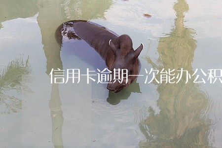 信用卡逾期一次能办公积金 信用卡逾期一次能办公积金