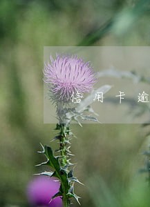 信用卡逾期一次能办贷款吗 信用卡逾期一次能办贷款吗