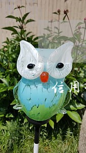 信用卡逾期一次能申请贷款吗 信用卡逾期一次能申请贷款吗