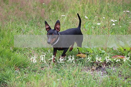 信用卡逾期一次能贷公积金吗